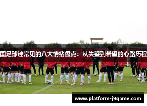 国足球迷常见的八大情绪盘点：从失望到希望的心路历程
