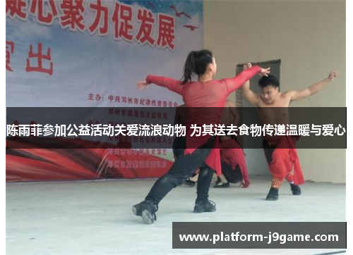 陈雨菲参加公益活动关爱流浪动物 为其送去食物传递温暖与爱心 陈雨菲参加公益活动关爱流浪动物 为其送去食物传递温暖与爱心